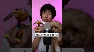 real vs fake dog 🐶 asmr [upl. by Sirtaeb745]