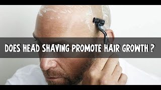 Does Head Shaving Promote Hair Growth [upl. by Adihsar]