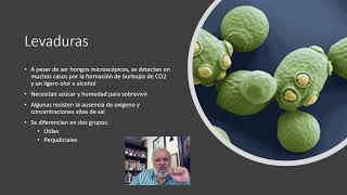 1 Introducción a Ecología Microbiana de los Alimentos [upl. by Elbring20]