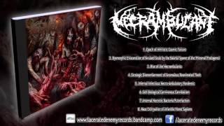 Necrambulant  Infernal Infectious Necro​  ​Ambulatory Pandemic FULL ALBUMHD [upl. by Aliza815]