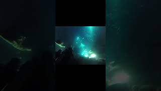 Crazy diving in Hawaii diving hawaii bigfish [upl. by Nahgaem518]