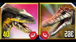 INDORAPTOR VS IRRITATOR GEN 2  Jurassic World The Game EP683 [upl. by Nyltac]