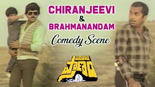 Pasivadi Pranam Movie Scenes  Chiranjeevi amp Brahmanandam Comedy Scene  Vijayashanthi Raghuvaran [upl. by Strickland]