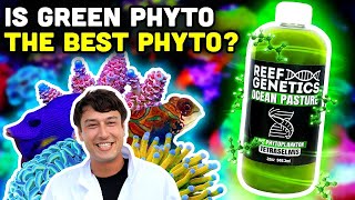 Green Phytoplankton Enhancing Coral Growth Culturing Yourself and MUCH MORE [upl. by Amaerd]