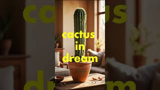 dreaming of a cactus [upl. by Luamaj]