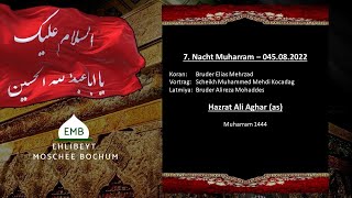 7 Nacht Muharram  Hazrat Ali Aghar as [upl. by Nesyaj]