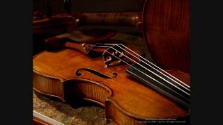 Richard Strauss Sonata for Violin and Piano in E flat major op18 1st [upl. by Enileuqaj392]