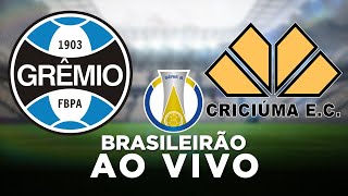 GRÊMIO 0 x 0 CRICIÚMA Campeonato Brasileiro Série B 2022 8ª Rodada  Narração [upl. by Kampmeier]