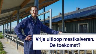 Wordt dit de nieuwe manier van kalveren houden  Jan Dubbelhuis over zijn proef met vrije uitloop [upl. by Jillayne]