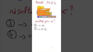 Brevet  Utiliser un programme de calcul  Fonctions 14f [upl. by Megargee]