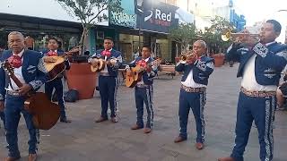 PERGAMINO MARIACHIS EN LA PEATONAL [upl. by Onailime]