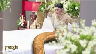 Naagin 2  Shivangi Reletionship Naagin  Episode 11  Colors TV  Voot  Mount Roy Naagin Roop [upl. by Aala]