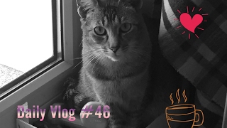 Daily Vlog 46  Reise nach Spanien  Ginas life and more [upl. by Evvy]