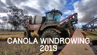 Australian Farm  Canola Windrowing November 2019  Miller Nitro 4275 [upl. by Alahs]