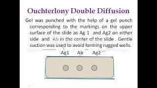 Ouchterlony Double Diffusion [upl. by Eiramaliehs452]