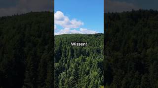 Kennst Du die 5 höchsten Mittelgebirge Deutschlands 🏔️ Geografie Quiz Allgemeinwissen Epic3TV [upl. by Kahle123]