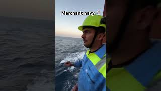 Mrng 7Am sea view😍🐬🛳️ explore ship shortvideo [upl. by Warfourd]