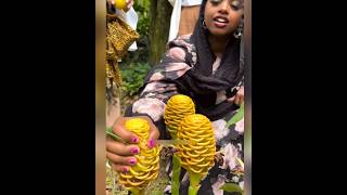 Shampoo comes out from inside this tree facts amazingfacts shortvideos telugu [upl. by Nide]