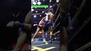 Muay Thai Knock Out Punch [upl. by Ennylyak]