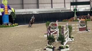 20241019 Great Southwest Monster Mash  500 120130m JuniorAm Jumper  TFJO [upl. by Ethelind102]