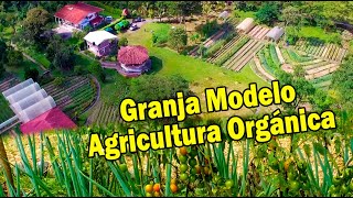 GRANJA MODELO AGRICULTURA ORGÁNICA 1ra Parte  HDA TIERRA DULCE [upl. by Yssirk]