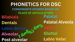 Phonetic sounds based on place of articulation [upl. by Demetra]