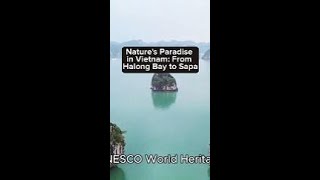 Natures Paradise in Vietnam From Halong Bay to Sapa [upl. by Bopp]