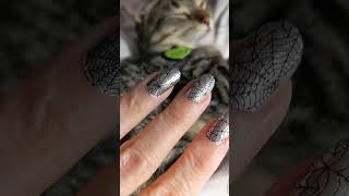 Spiderweb nail polish annoyed cat rescuekitty tabby cat sleepycat [upl. by Nyladnor]