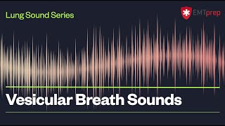 Vesicular Breath Sounds  EMTprepcom [upl. by Der997]