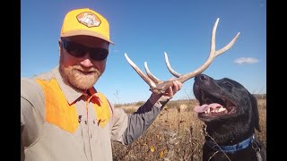 Discovering More Than Grouse on an Afternoon Hunt [upl. by Mixie]