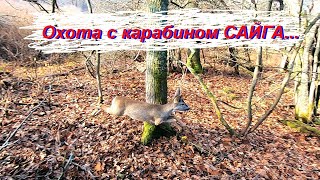 Охота на кабана и косулю с карабином САЙГА  762х39  545х39  366 ткм [upl. by Albina]