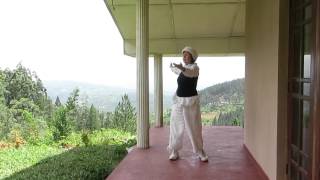 Qigong full body arm movements HD [upl. by Marrilee653]