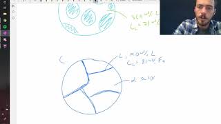 Drawing simple microstructures using the lever rule [upl. by Ettenav599]