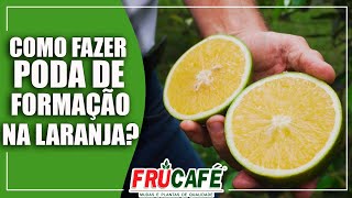 Como fazer poda de Formação na LARANJA [upl. by Phila]