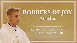 Robbers of Joy Acedia [upl. by Harlen]