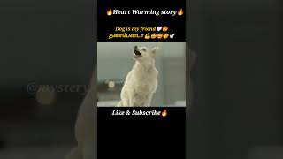 Dog lover🐕🥰shorts fantasy shortsfeed ytstudio trendingshorts tamilvoiceover mysterydiv [upl. by Enilkcaj]