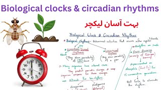 biological clock amp circadian rhythms  12 Class biology 2ndyearbiology [upl. by Squires]