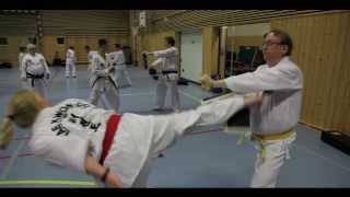 Jessheim TaekwonDo klubb [upl. by Jabon25]