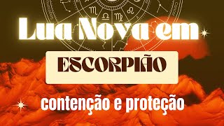 LUA NOVA EM ESCORPIÃO  contenção e proteção [upl. by Odlo]