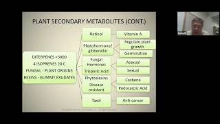 9 Making Plant Metabolites HD [upl. by Eiba]