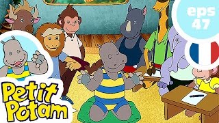 PETIT POTAM  EP47  Hippo migrateur [upl. by Sisenej858]