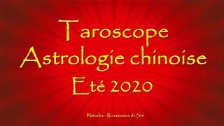 Taroscope Astrologie chinoise  Eté 2020 🎎🏮✨ 12 miniguidances ✨ [upl. by Graybill]