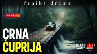 CRNA ĆUPRIJA  Istinita priča  HOROR PRIČA  Audio drama [upl. by Bullock]