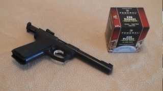 Federal Bulk Red Box  Ruger 2245  22LR Ammo Testing [upl. by Iorgo]