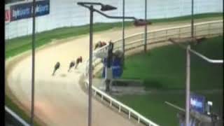 IGB  Dublin Coach Quality In Transport A3 Round 1 Heat 2 18102019 Race 5  Shelbourne Park [upl. by Dlareg]