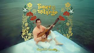 Pokey LaFarge  quotFor A Nightquot Official Audio [upl. by Eecal]