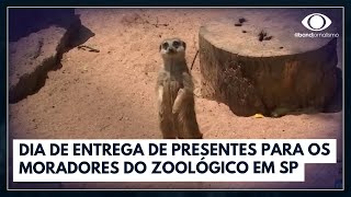 Festa de Natal no zoológico de São Paulo  Jornal da Band [upl. by Ttnerb945]