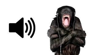 1 HOUR of Monkey Screaming [upl. by Naujek]