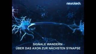 Grundlagen 6 Synapsen neurotech [upl. by Fidole]