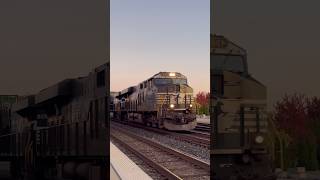 NS 8043 leads a intermodal past Hammond Whiting IN [upl. by Runkel]